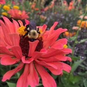 Meet your Posher, Maya